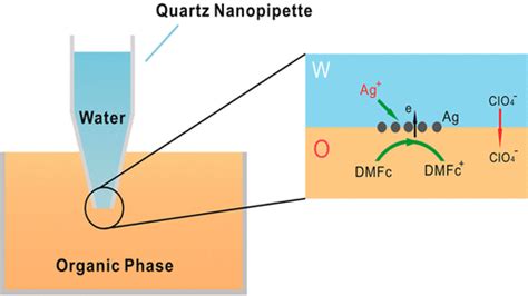 fabrication of metal nanoelectrodes by interfacial reactions|Fabrication of Metal Nanoelectrodes by Interfacial Reactions.